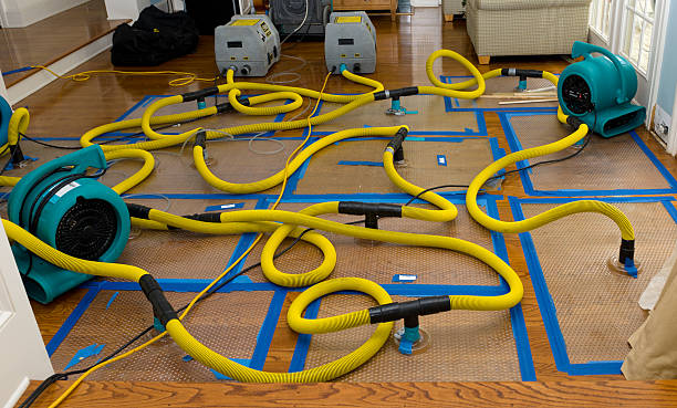 Professional Water Extraction technician working in Nixa, MO